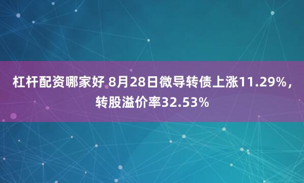 杠杆配资哪家好 8月28日微导转债上涨11.29%，转股溢价率32.53%
